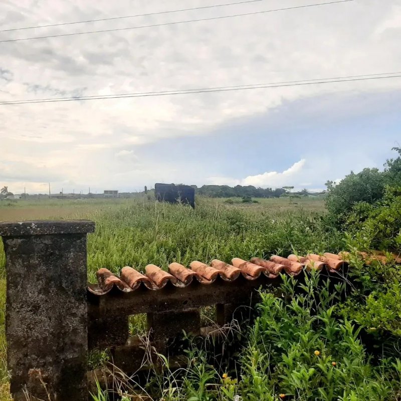 Terreno - Venda - Balneário Sabauma - Ilha Comprida - SP