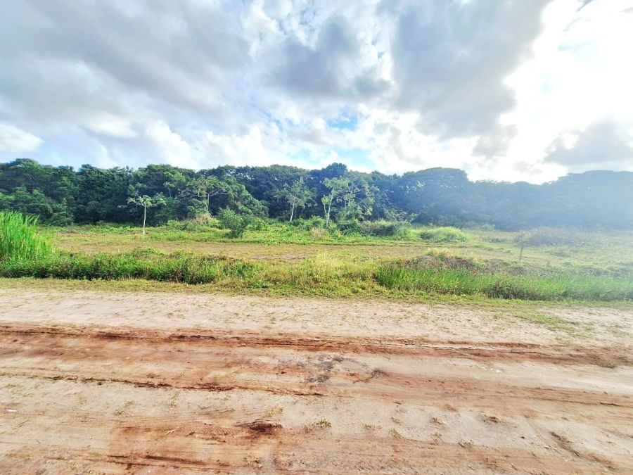 Terreno - Venda - Balneário Sarnambi - Ilha Comprida - SP