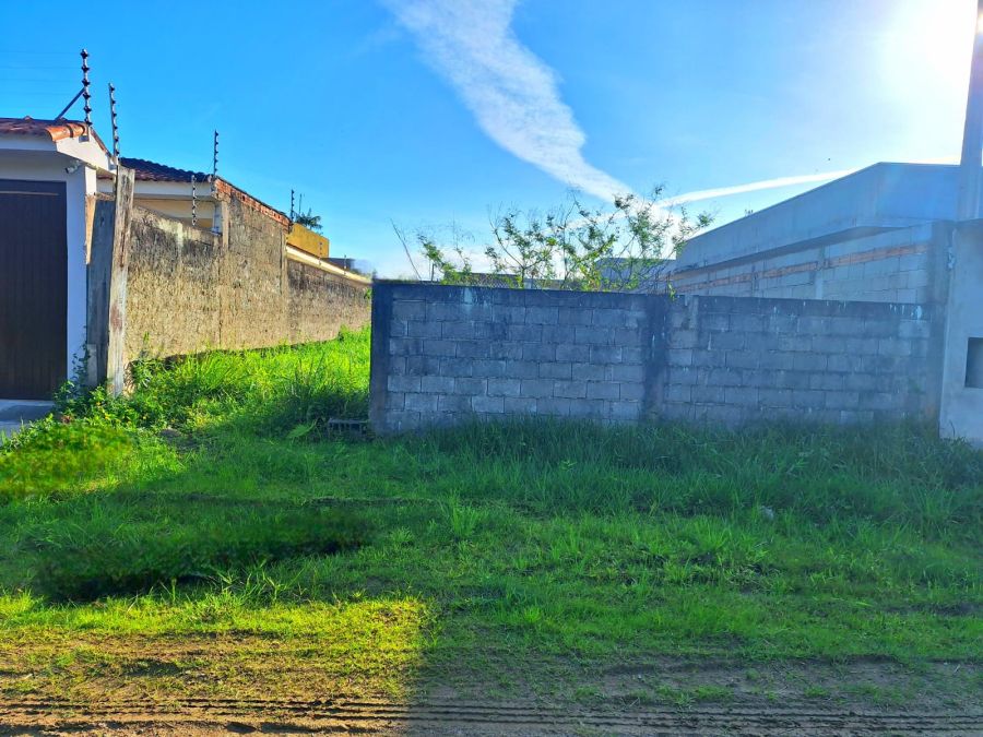 Terreno - Venda - Jardim Primavera - Iguape - SP