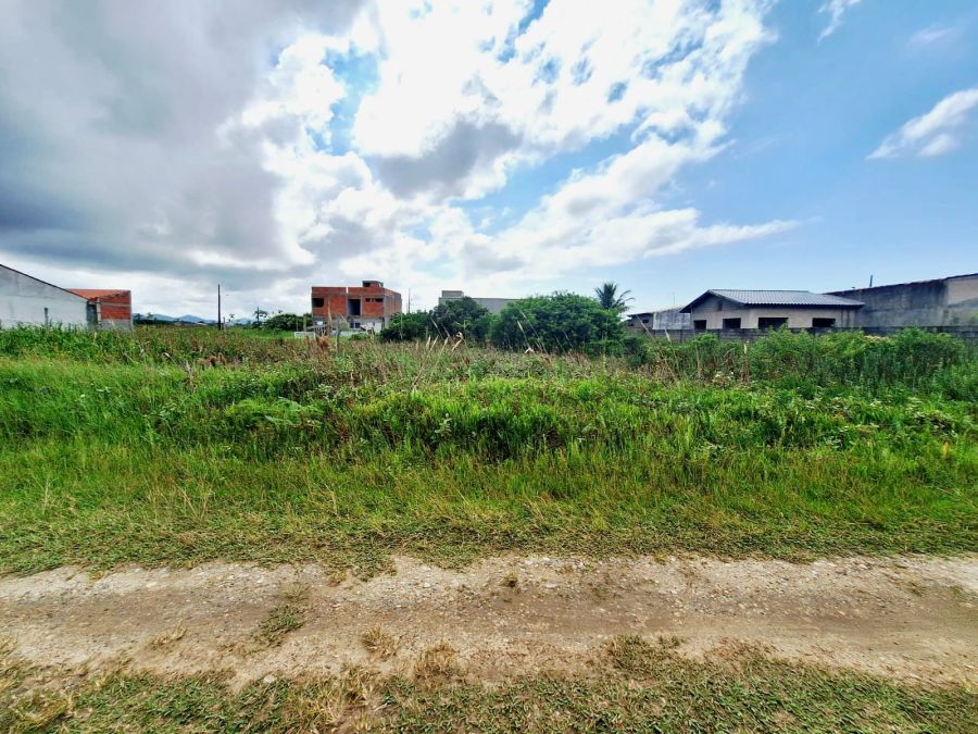 Terreno - Venda - Balneário Mar Azul - Ilha Comprida - SP