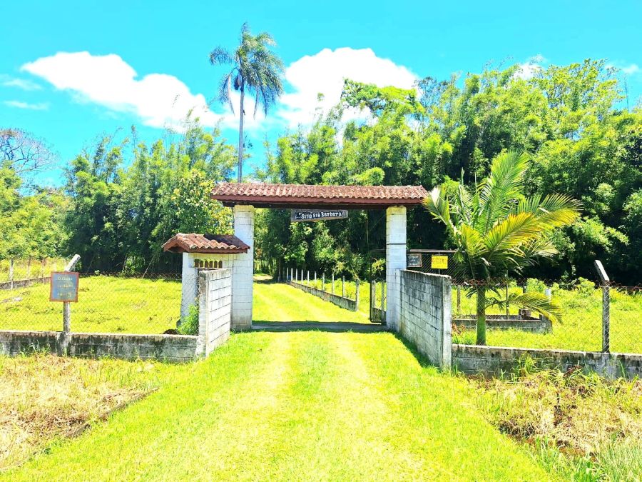 Sítio - Venda - Umbú - Iguape - SP
