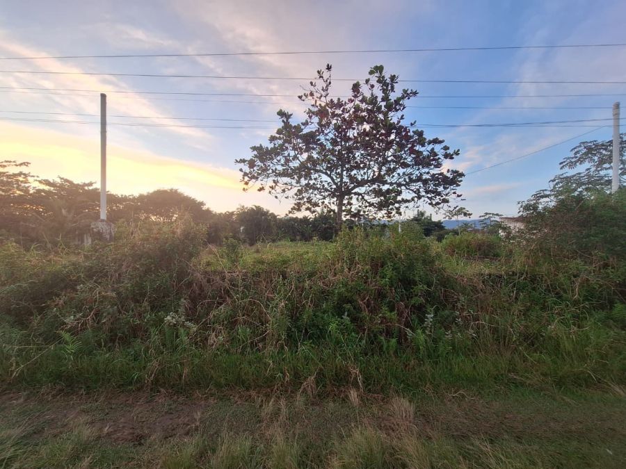Terreno - Venda - Balneário Araçá - Ilha Comprida - SP