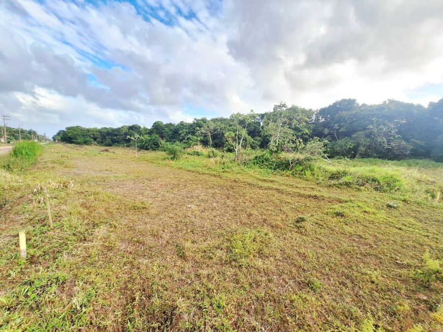 Terreno - Venda - Balnerio Sarnambi - Ilha Comprida - SP
