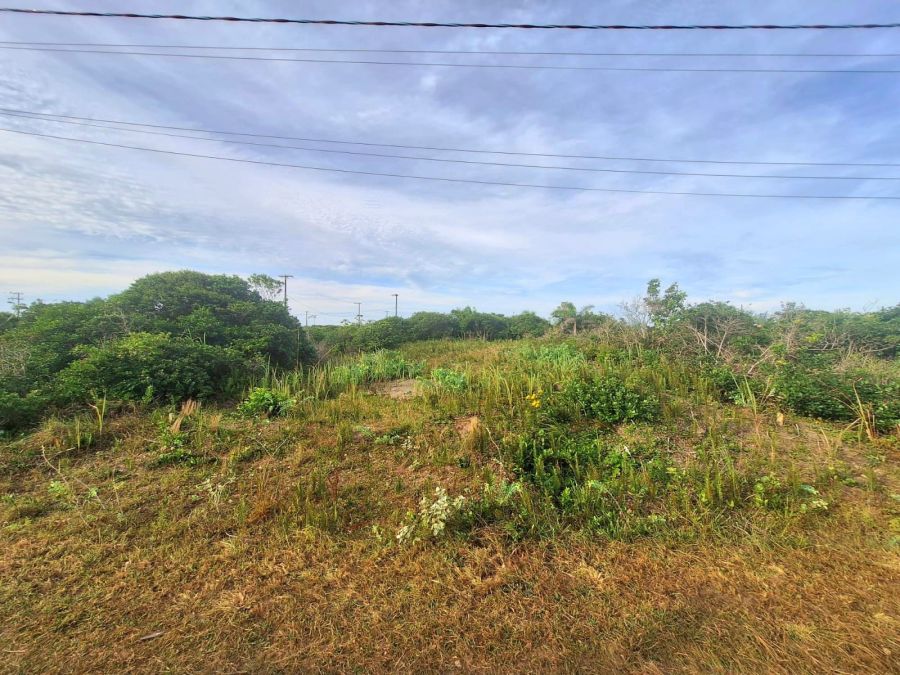 Terreno - Venda - Balne�rio Le�o Marinho - Ilha Comprida - SP