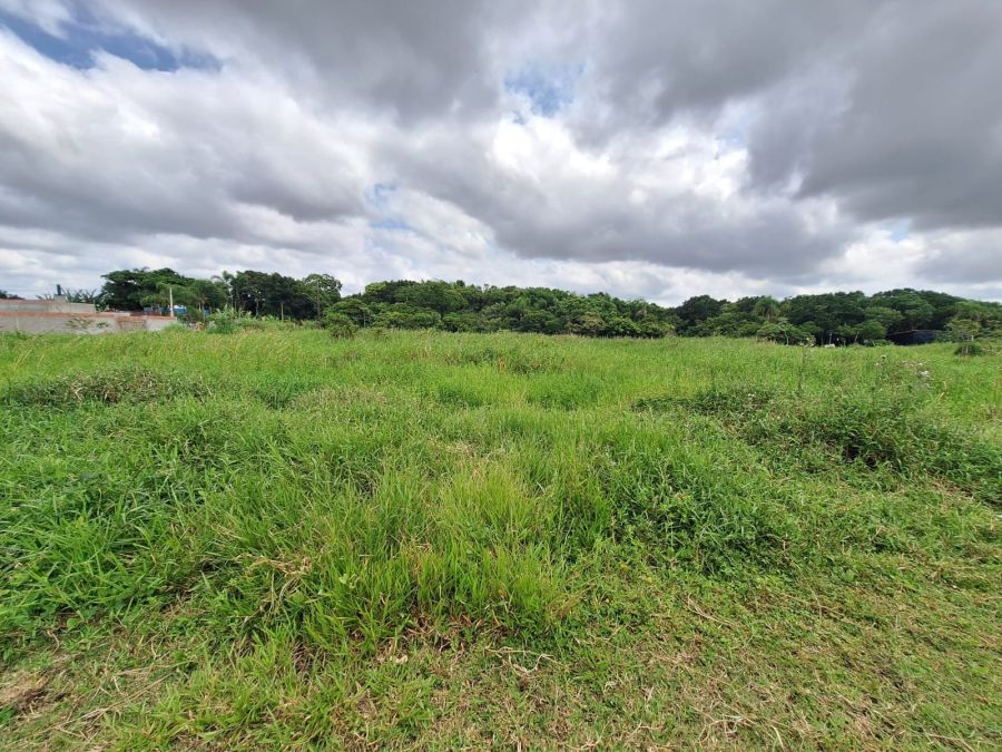 Terreno - Venda - Balne�rio Icara� de Iguape - Ilha Comprida - SP