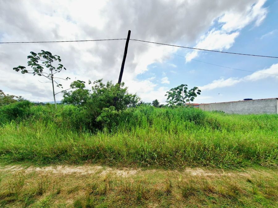 Terreno - Venda - Balneário Adriana - Ilha Comprida - SP