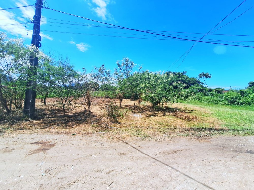 Terreno - Venda - Balnerio Adriana - Ilha Comprida - SP