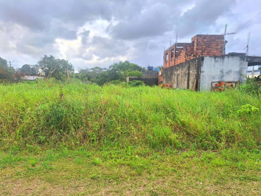 Terreno - Venda - Balneário Porto Velho - Ilha Comprida - SP