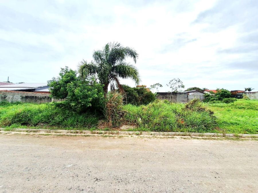 Terreno - Venda - Balneário Yemar - Ilha Comprida - SP