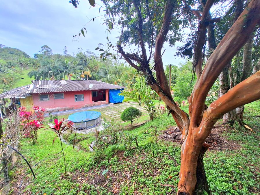 Sítio - Venda - Cerro Azul - Iguape - SP